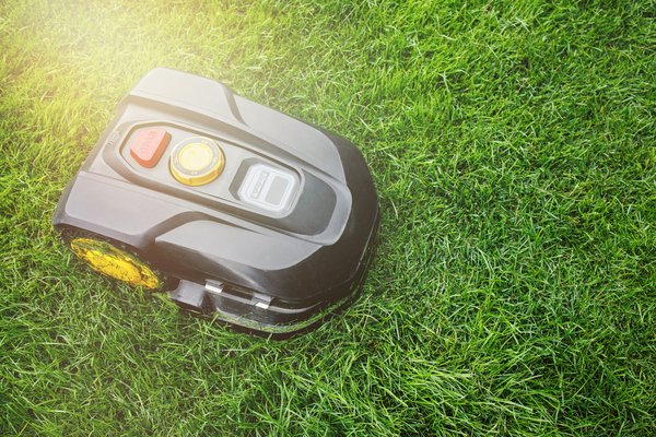 Meilleur robot tondeuse pas cher : guide des choix efficaces
