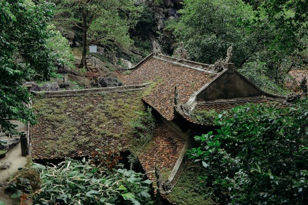 Traitement toiture et charpente : expertise locale et durable
